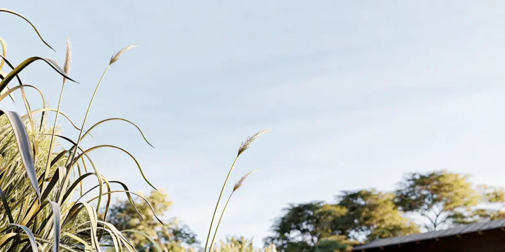Tall grass blades swaying under a clear blue sky with trees in the distance.