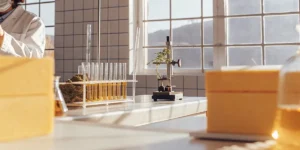 cannabis laboratory with test tubes and microscope under natural light