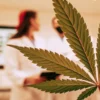 Cannabis leaf close-up with scientists working in a laboratory background.