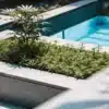 Cannabis plant growing in a modern outdoor planter beside a pool.
