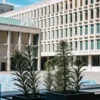 Potted cannabis plants displayed in a modern public building courtyard with architectural structures in the background.