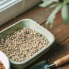 Close-up of cannabis seeds in trays on a wooden table near a window.