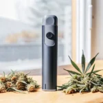 modern cannabis vaporizer surrounded by dried cannabis buds on wooden table