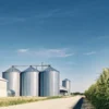 Wide shot of industrial metal silos next to a hemp field under a clear blue sky.