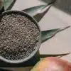 Top view of mango-flavor cannabis seeds with fresh mango slices and leaves.