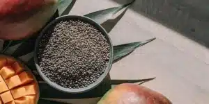 Top view of mango-flavor cannabis seeds with fresh mango slices and leaves.