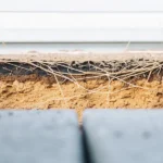 Cross-section of soil showing compacted layers and visible root structures.