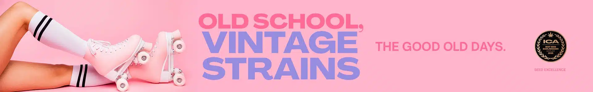 Blimburn Seeds Promo