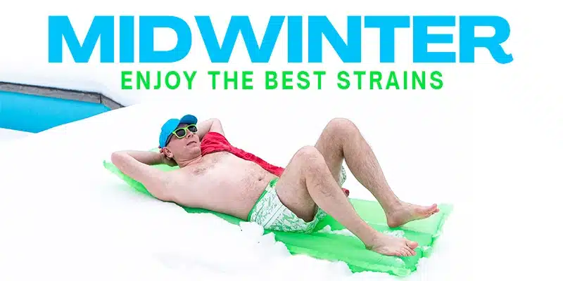 Blimburn Seeds Promo