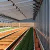 Automated greenhouse with long linear crop rows under a translucent roof equipped with overhead irrigation rails.
