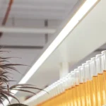 cannabis laboratory with test tubes and bud sample