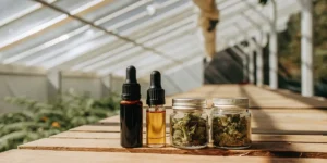 Cannabis tincture bottles and glass jars filled with dried buds arranged on a wooden table in a greenhouse.