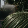 Close-up of a glistening green leaf covered in fine water mist inside a greenhouse.