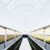 Modern indoor hydroponic farm with rows of seedlings under bright LED lighting and a curved white ceiling.