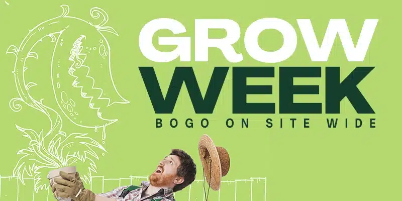 Blimburn Seeds Promo