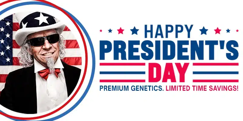 Blimburn Seeds Promo