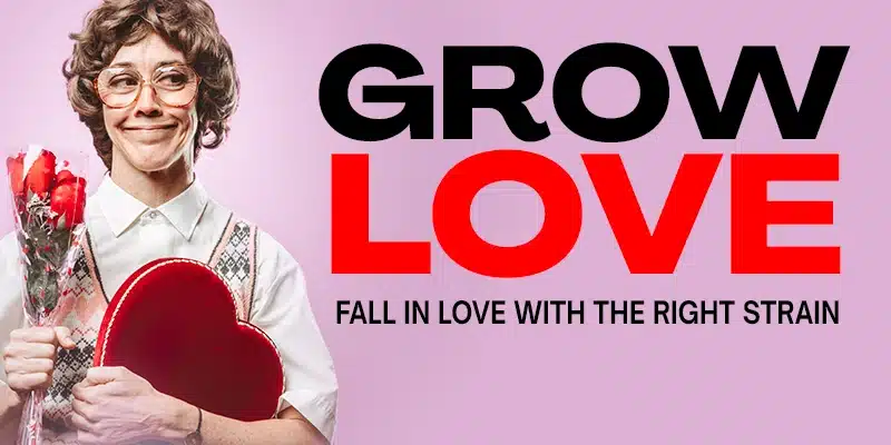 Blimburn Seeds Promo