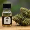 CBD Critical Mass Auto: CBD Oil and Aromatic Cannabis Buds.