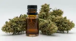 Green Crack x AK47: Premium Cannabis Extract and Dried Buds.