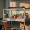 Modern desk setup with the Annaboto grow system featuring potted plants under LED lights in a bright living space.