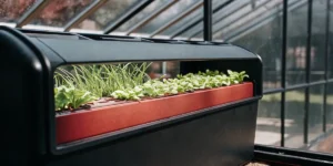 Compact hydroponic grow box filled with young leafy greens inside a glass greenhouse.
