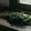 Fresh mint leaves resting on a rustic wooden table near a window with soft natural light