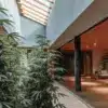 Luxury indoor cannabis garden with tall plants growing under a skylight in a modern architectural space.