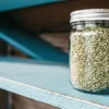 Mint cannabis seeds stored in a clear glass jar on a blue wooden shelf, showing seed texture and natural green tones.