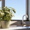 Potted mint plant placed on a kitchen windowsill with natural daylight highlighting fresh green leaves.