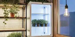 Smart grow box with LED lighting containing potted plants on shelves inside a modern indoor kitchen garden.