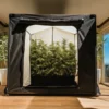 tente de culture remplie de plantes de cannabis denses dans une véranda lumineuse avec vue extérieure