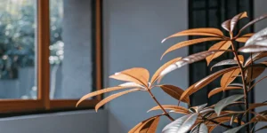 Close-up of a vibrant indoor plant growing near a sunlit window.