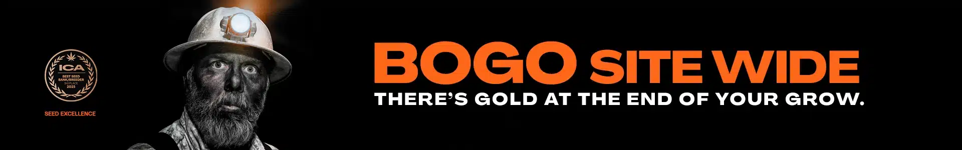 Blimburn Seeds Promo