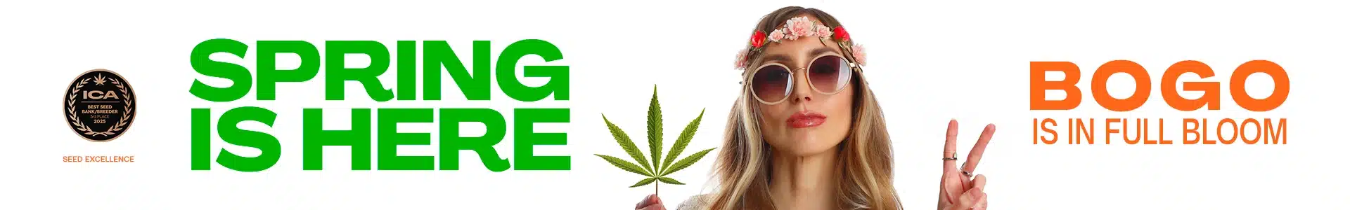 Blimburn Seeds Promo