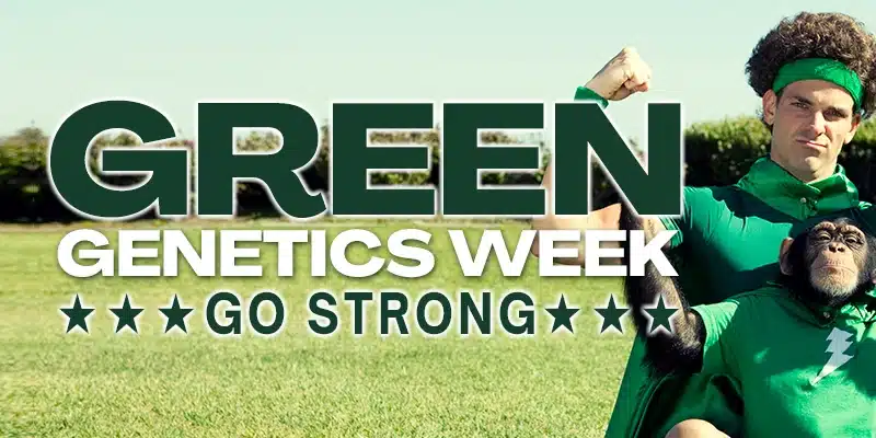 Blimburn Seeds Promo