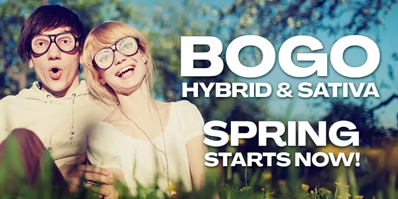 Blimburn Seeds Promo