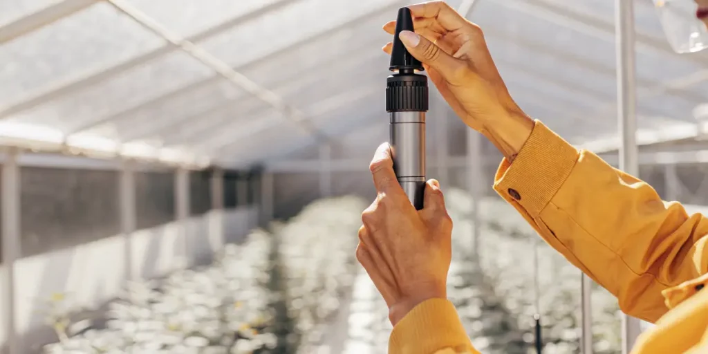 Grower adjusting a refractometer inside an indoor cannabis facility to prepare for brix level analysis.