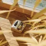 Cannabis care kit avec flacons d’extraits et sérums naturels disposés sur un sol en bois dans une serre de culture.