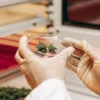 Scientist holding a petri dish with a cannabis tissue culture sample inside a laboratory environment.