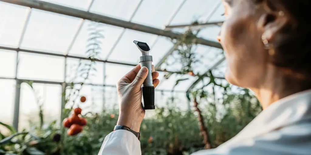 Professional grower holding a refractometer while inspecting cannabis plants inside a greenhouse.
