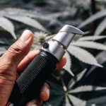 Handheld refractometer held above cannabis plants to assess crop quality and sugar levels.