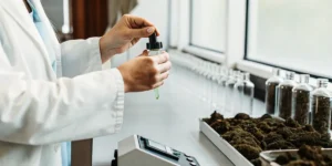 Scientist preparing a liquid cannabis extract sample for laboratory analysis using precision tools.