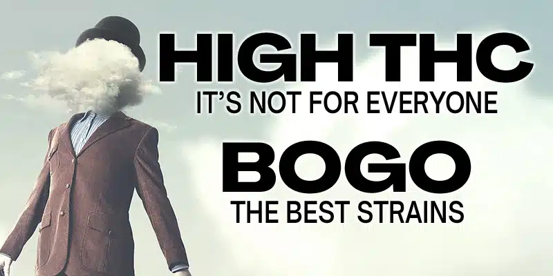 Blimburn Seeds Promo