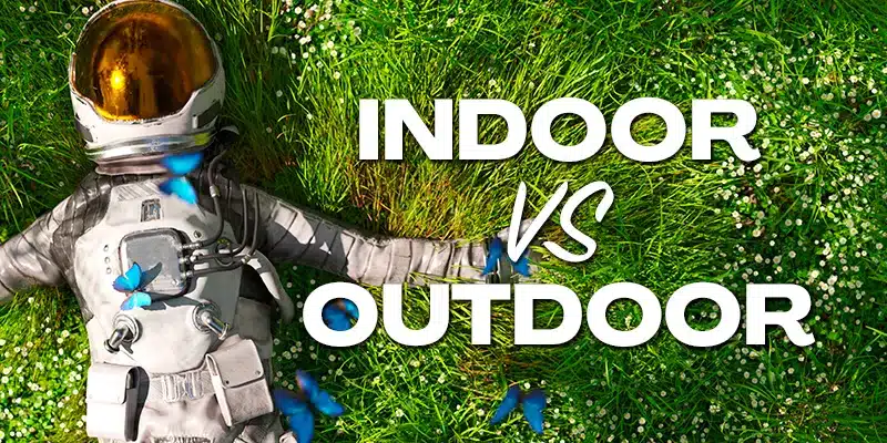 Blimburn Seeds Promo