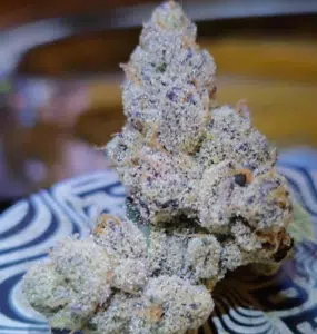 Frosty Banana Jelly feminized seeds bud with dense trichome coverage, purple hues, and amber pistils on a patterned background.