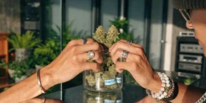 Hands placing cannabis buds into a glass jar for curing and storage.