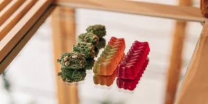 Assorted cannabis gummies in red and yellow tones next to frosted cannabis buds displayed on a reflective glass table.