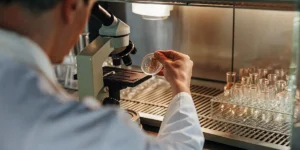 Scientist analyzing cannabis sample in a petri dish under a microscope inside a sterile laboratory environment