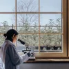 Scientist conducting cannabis research with a microscope inside a greenhouse laboratory.