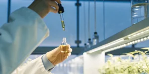 Scientist using a dropper to extract cannabis oil into a glass vial inside a controlled laboratory environment